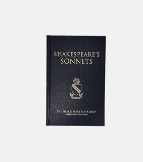 companion, martha jones and doctor who