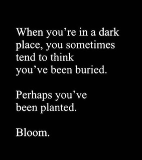 dark, motivation and growth