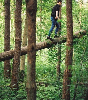 godness, forest and camp