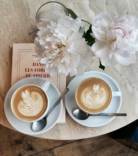 cappuccino, beverage and coffee