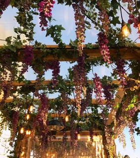 nature, lights and flowers