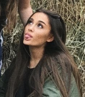 layout pack, butera and layout