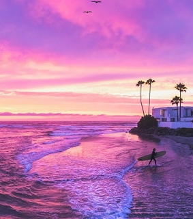 lifestyle, surfer and surflife