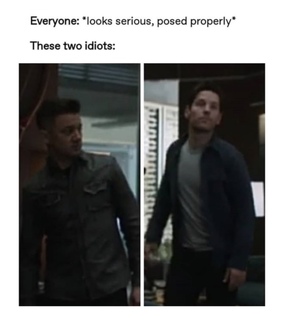 antman, avengers: endgame and scott lang