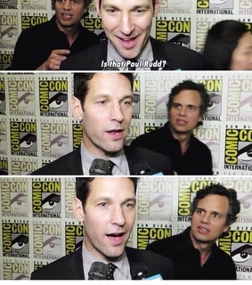 bruce banner, paul rudd and antman