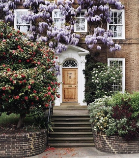 beauty, cute and home