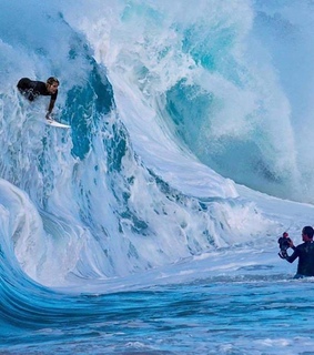 surfer, surfing and surf