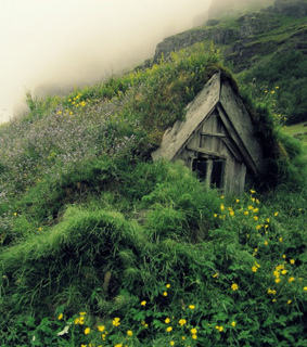 sweet, cottagecore and forest