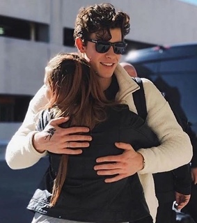 boyfriend, shawn mendes and fangirl