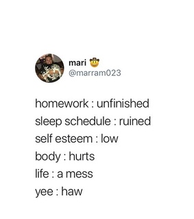 teen quote, funny and relate