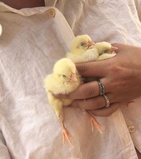 soft, babies and cute