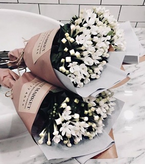 girly, luxury life and sun flowers