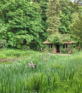 cabin, cottage and cabincore