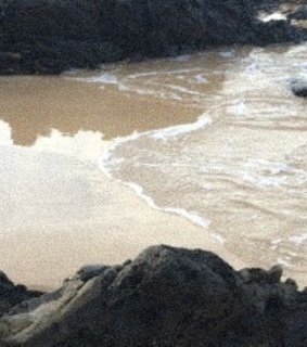 twitter header, tan and layout