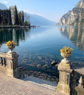 stones, flowers and trees