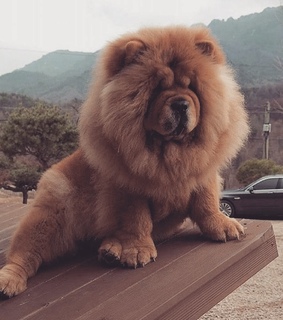 inspiration, cute cuteness and eyes