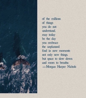 life, blue and whales