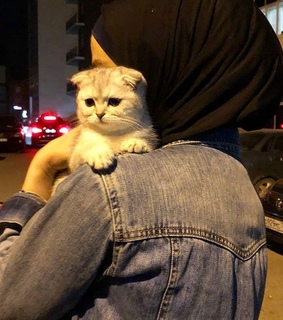 adventure, city and cars