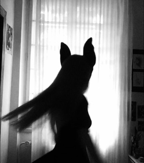 long hair, darkness and long hair don't care