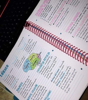 escuela, apuntes bonitos and plumas