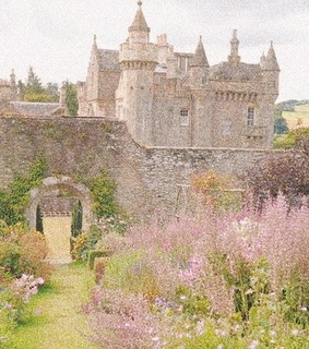 simon, basil and purple