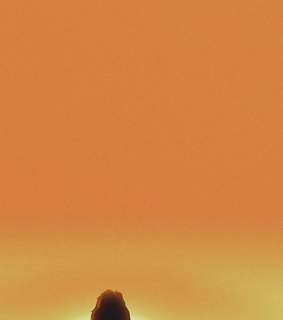 mufasa, simba and light