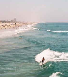surfboard, tropical and ocean