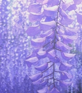 pastel purple, anime and demon slayers