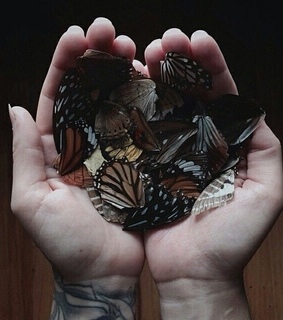 happiness, stolen and deceive