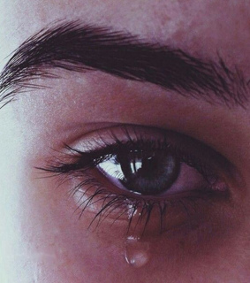 ????, instagram and ???????