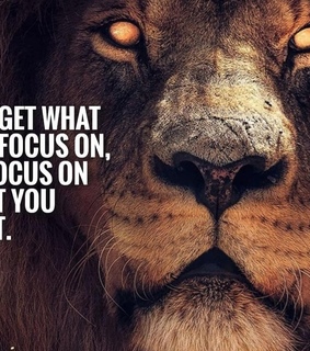 encourage, mindset and entrepreneurship