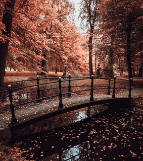 spooky, herfst and fall vibes