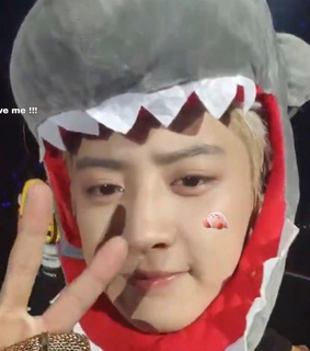 chanyeol cute, exo cute and exo soft