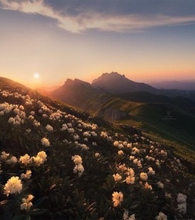 wanderlust, scenery and mountain