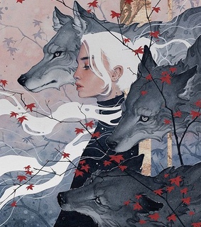 wolf, illustration and autumun