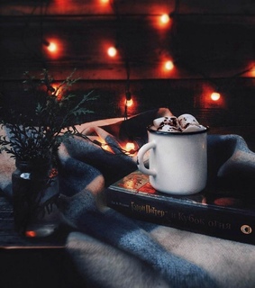 fall, sweater weather and harry potter