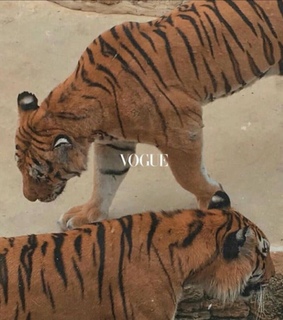 alternative, style and aesthetic