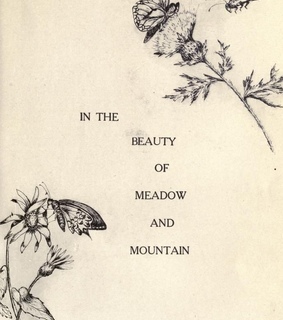 pic, pastel and soft archive