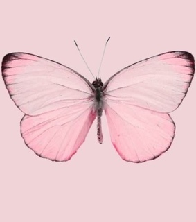 soft archive, pastel and archive theme pic