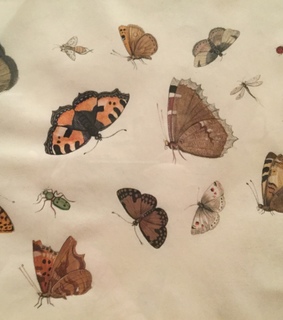 aesthetic, cyber and soft archive