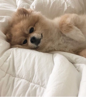 white aes, white and beige aesthetic and beige