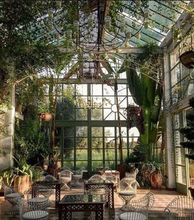 eclectic, enjoy and plants