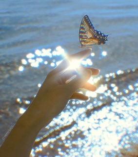 pale, vintage and soft