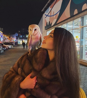 cosmetic cosmetics, coat and beauty beautiful love