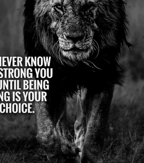 motivation, quotes and mindset