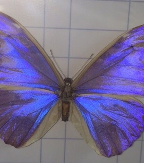 ghetto, tumblr and vintage