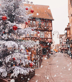 tree, street and snow