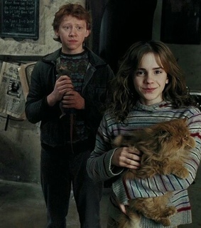 goals, movie and hermione