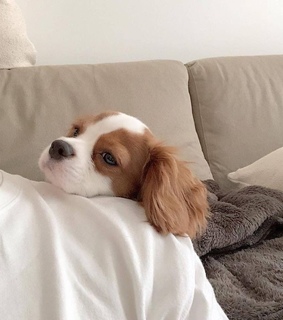 white, nature and natural