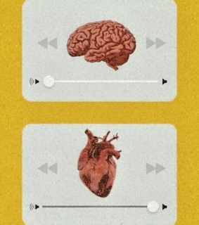 follow, aesthetic and photographer